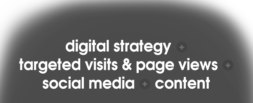 digital strategy | targeted visits & page views | social media | content
